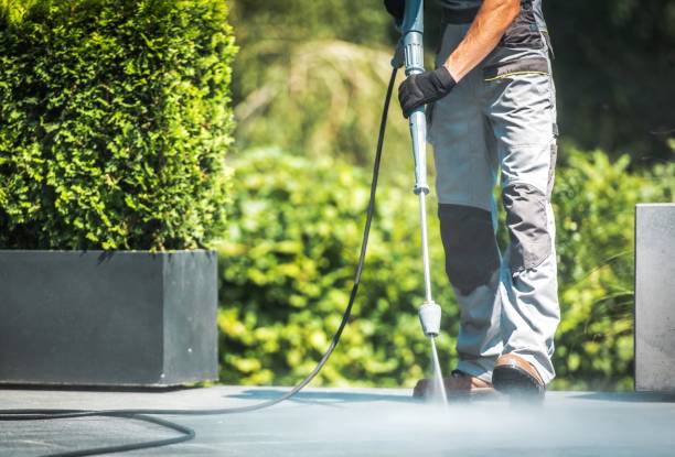 Best House Exterior Washing  in North Kingsville, OH