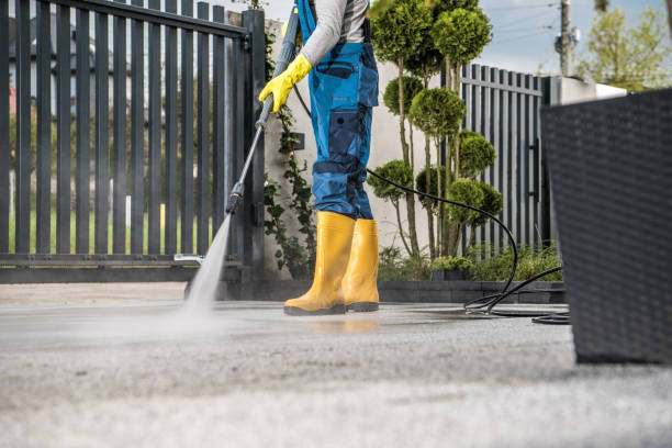 Best Sidewalk and Walkway Cleaning  in North Kingsville, OH